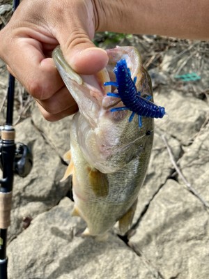 hideup 榎本英俊 ブログ写真 2020/09/13