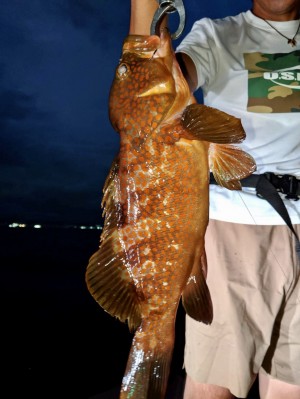 hideup 榎本英俊 ブログ写真 2020/09/14