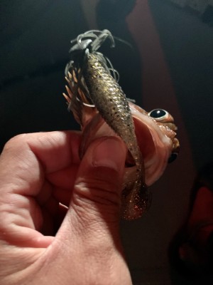 hideup 榎本英俊 ブログ写真 2020/09/14