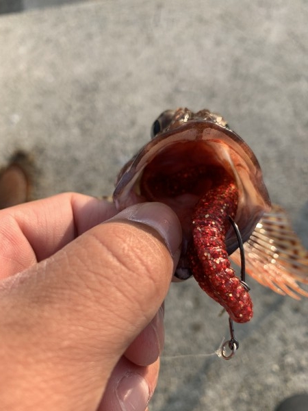 hideup 榎本英俊 ブログ写真 2020/10/04