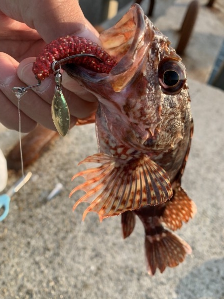 hideup 榎本英俊 ブログ写真 2020/10/04