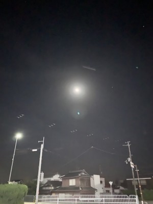 hideup 榎本英俊 ブログ写真 2020/10/05