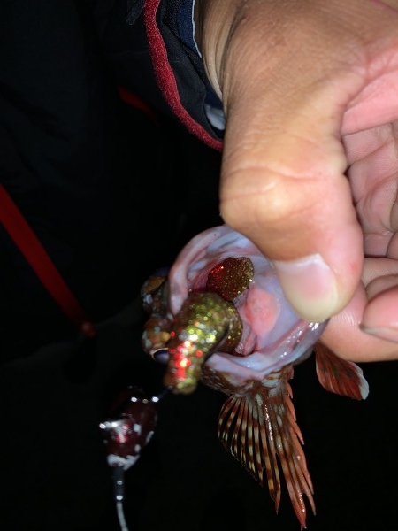 hideup 榎本英俊 ブログ写真 2020/10/08