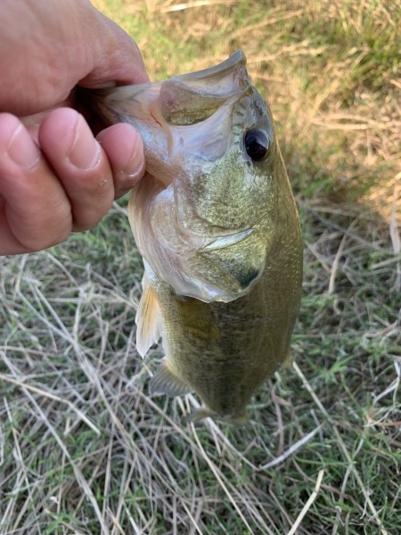 hideup 榎本英俊 ブログ写真 2020/10/11