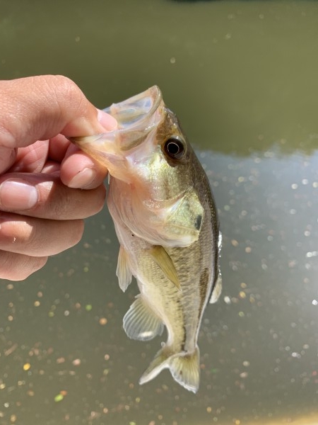 hideup 榎本英俊 ブログ写真 2020/10/11