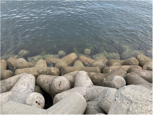 hideup 榎本英俊 ブログ写真 2020/10/12