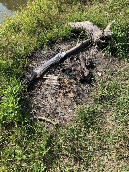 hideup 榎本英俊 ブログ写真 2020/11/02