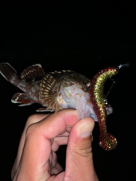 hideup 榎本英俊 ブログ写真 2020/11/07