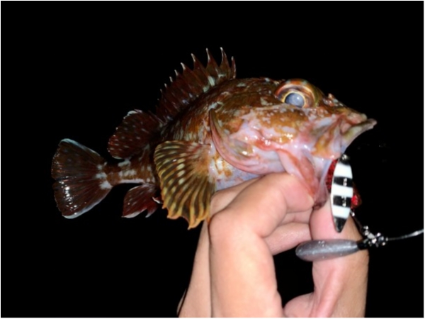 hideup 榎本英俊 ブログ写真 2020/11/07