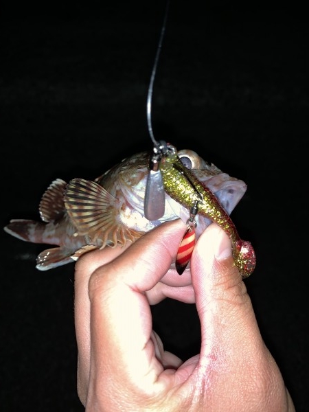 hideup 榎本英俊 ブログ写真 2020/11/07