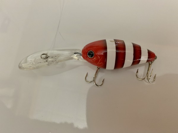 hideup 榎本英俊 ブログ写真 2020/11/08