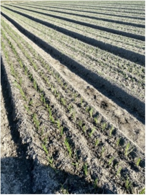 hideup 榎本英俊 ブログ写真 2020/11/14