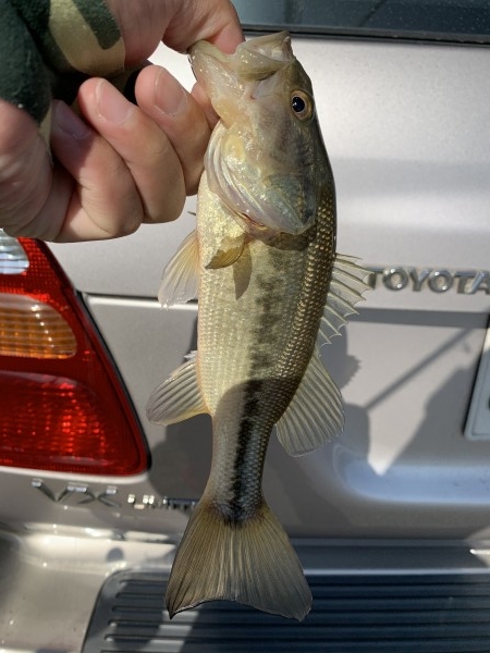 hideup 榎本英俊 ブログ写真 2020/11/15