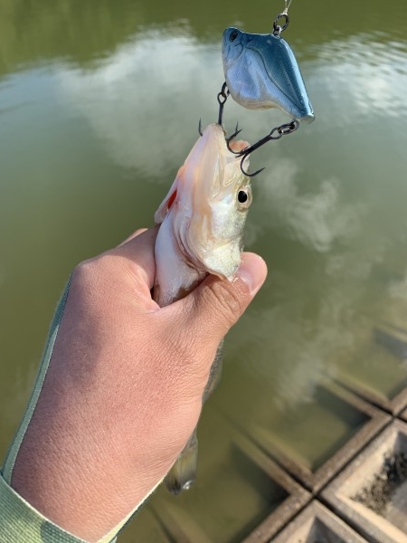 hideup 榎本英俊 ブログ写真 2020/11/15