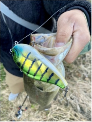 hideup 榎本英俊 ブログ写真 2020/12/06