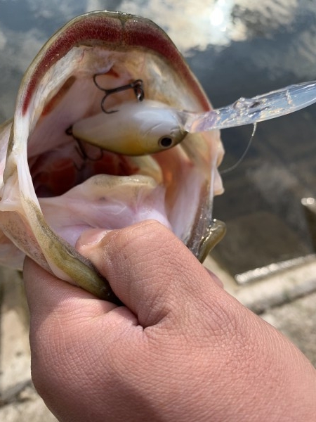 hideup 榎本英俊 ブログ写真 2021/01/02