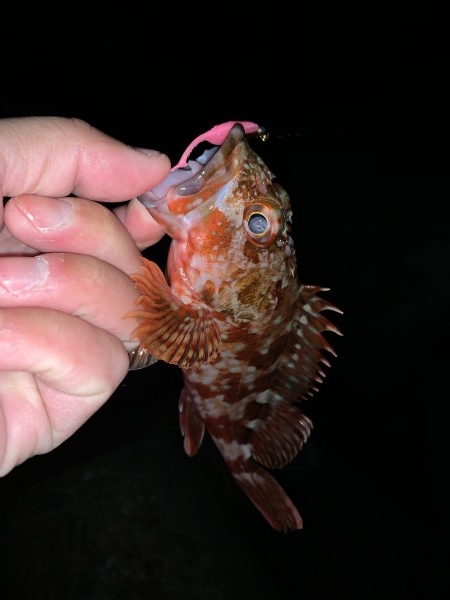 hideup 榎本英俊 ブログ写真 2021/01/05