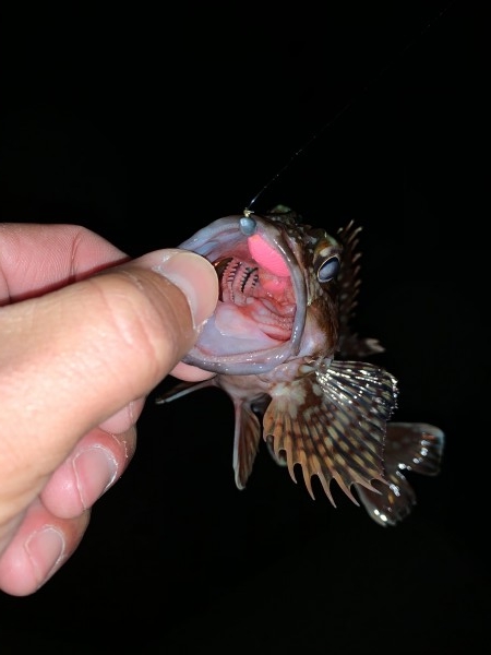 hideup 榎本英俊 ブログ写真 2021/01/05