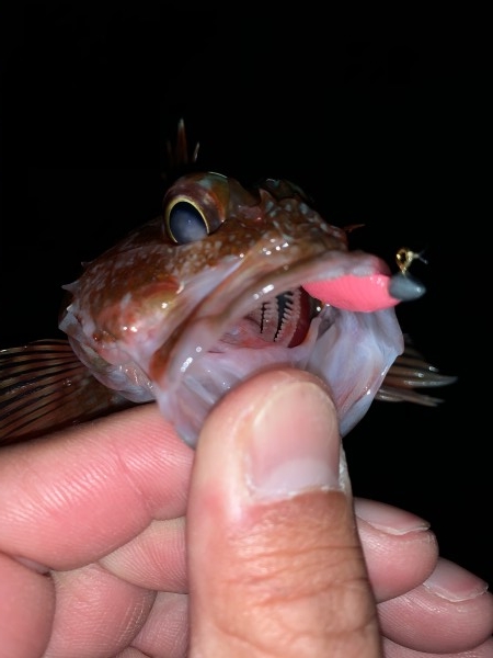 hideup 榎本英俊 ブログ写真 2021/01/05