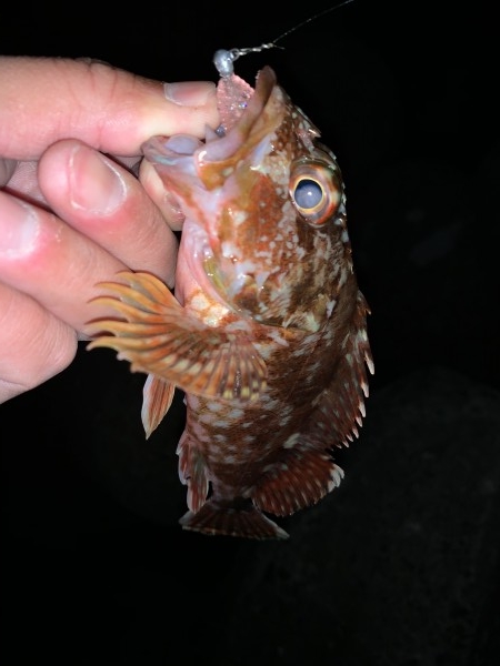 hideup 榎本英俊 ブログ写真 2021/01/07