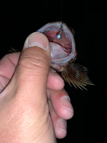 hideup 榎本英俊 ブログ写真 2021/01/07