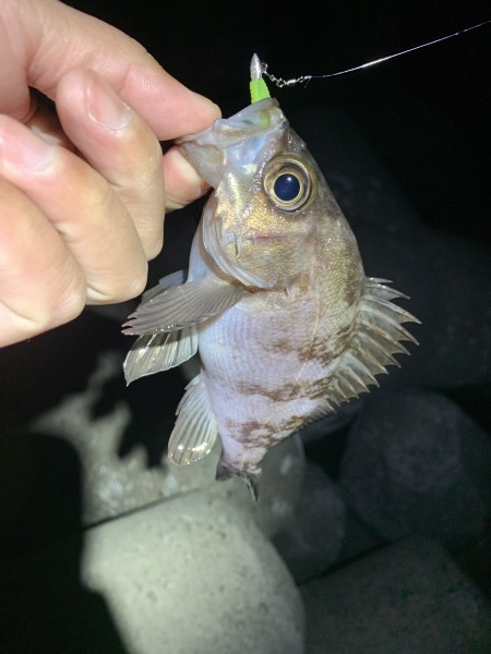 hideup 榎本英俊 ブログ写真 2021/03/02