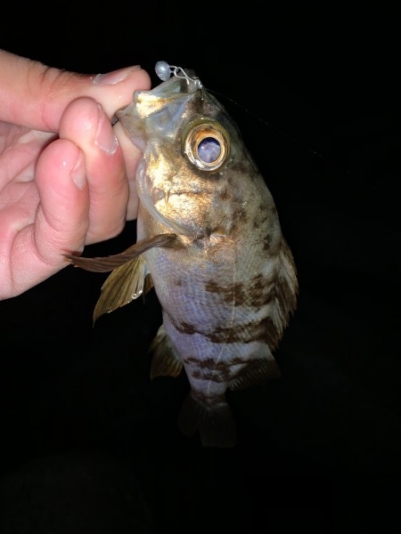 hideup 榎本英俊 ブログ写真 2021/03/02