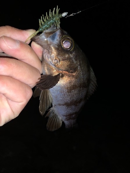 hideup 榎本英俊 ブログ写真 2021/04/02