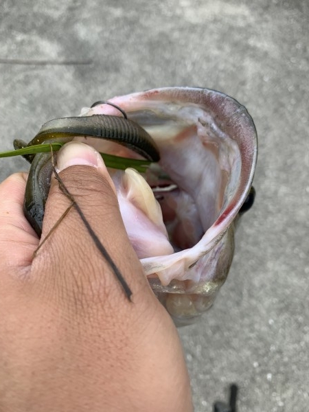 hideup 榎本英俊 ブログ写真 2021/04/04