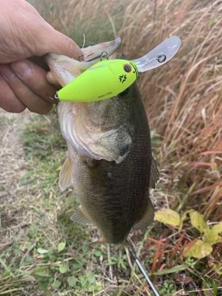 hideup 榎本英俊 ブログ写真 2021/12/06