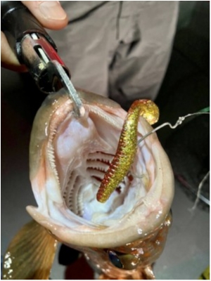 hideup 榎本英俊 ブログ写真 2021/12/12