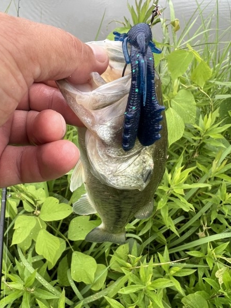 hideup 榎本英俊 ブログ写真 2023/07/04