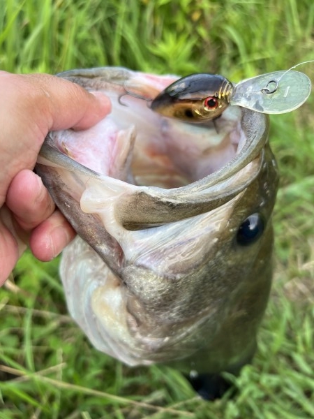 hideup 榎本英俊 ブログ写真 2023/07/06