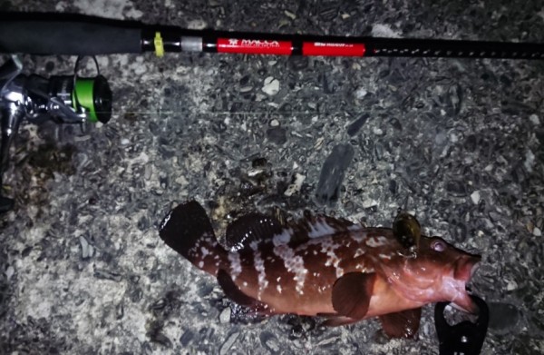 hideup 久次米良信 ブログ写真 2019/11/01