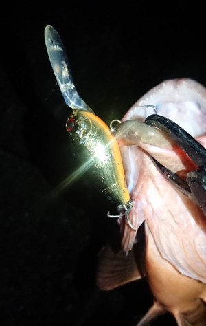 hideup 久次米良信 ブログ写真 2019/11/01