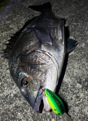 hideup 久次米良信 ブログ写真 2019/11/03