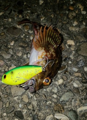 hideup 久次米良信 ブログ写真 2019/11/03