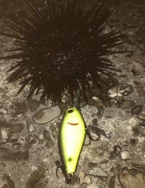 hideup 久次米良信 ブログ写真 2019/11/06