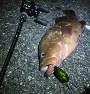 hideup 久次米良信 ブログ写真 2019/11/06