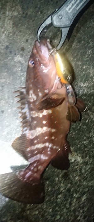 hideup 久次米良信 ブログ写真 2019/11/07