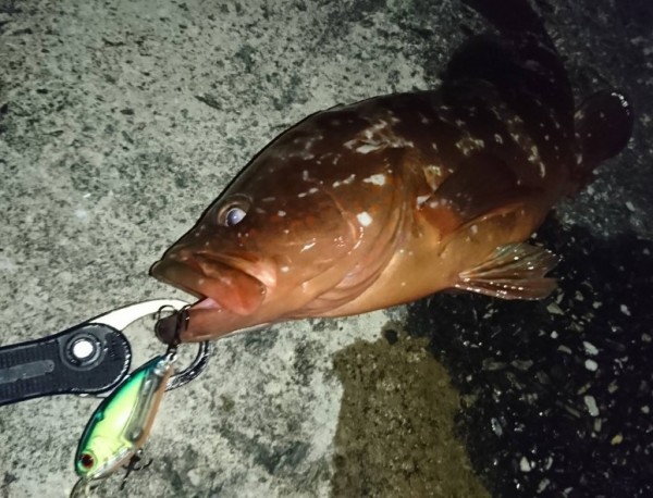 hideup 久次米良信 ブログ写真 2019/11/09