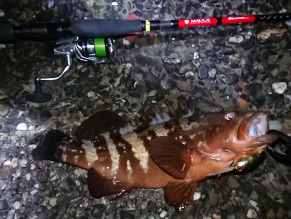 hideup 久次米良信 ブログ写真 2019/11/09