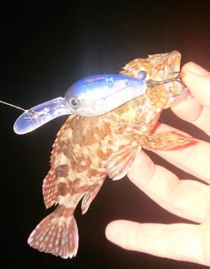 hideup 久次米良信 ブログ写真 2019/11/09