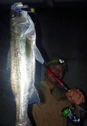 hideup 久次米良信 ブログ写真 2019/11/09