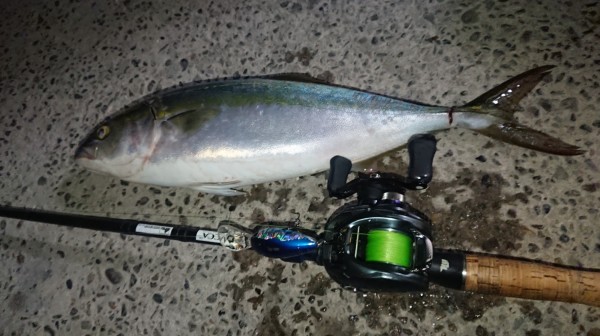 hideup 久次米良信 ブログ写真 2019/11/09