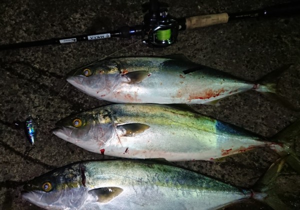 hideup 久次米良信 ブログ写真 2019/11/09