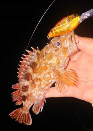 hideup 久次米良信 ブログ写真 2019/11/09