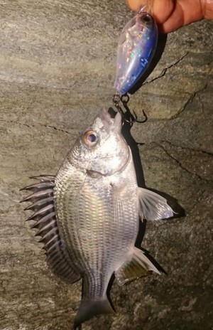 hideup 久次米良信 ブログ写真 2019/11/09