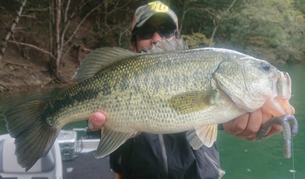 hideup 久次米良信 ブログ写真 2019/11/11