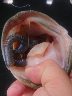 hideup 久次米良信 ブログ写真 2019/11/11